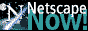 88x31 button: netsc