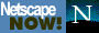 88x31 button: netscape as
