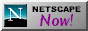 88x31 button: netscape nick