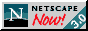 88x31 button: netscape