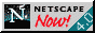 88x31 button: netscape4 