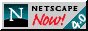 88x31 button: netscape4