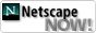 88x31 button: netscape8