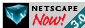 88x31 button: netscapeani