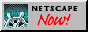 88x31 button: netscapeanim2