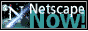 88x31 button: netscapeb