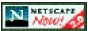 88x31 button: netscapeexplorer