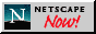 88x31 button: netscapelogo