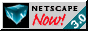 88x31 button: netscapenow