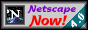 88x31 button: netscapenow40