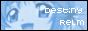 88x31 button: nicoler destiny