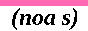 88x31 button: noa s