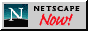 88x31 button: ns static