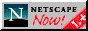 88x31 button: nsnow11