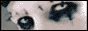 88x31 button: numetal