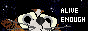 88x31 button: oodlecat