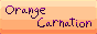 88x31 button: orangecarnation