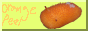88x31 button: orangepeel
