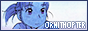 88x31 button: ornithopter