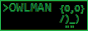 88x31 button: owlman
