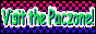 88x31 button: pacjudes