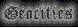 88x31 button: palladium geo link