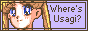 88x31 button: pallapallachan fun usagi