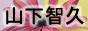 88x31 button: pararacute banyamapee1