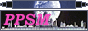 88x31 button: pastprincess 88x31 61
