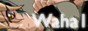 88x31 button: pegastorm waha ban