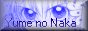 88x31 button: perfect goddess0 ynnbutton1