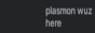 88x31 button: plasmon