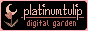 88x31 button: platinumtulip