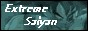 88x31 button: poppyrulz  extremesaiyan