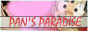 88x31 button: poppyrulz pansparadisebutton