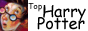 88x31 button: potter oz harrypotter