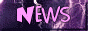 88x31 button: princess tracy newsbutton