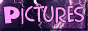 88x31 button: princess tracy picbutton