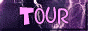 88x31 button: princess tracy tourbutton
