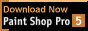 88x31 button: pspdl