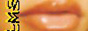 88x31 button: pswritebac lmslink