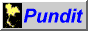 88x31 button: pundit