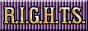 88x31 button: purpledaisies dolls rights