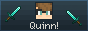 88x31 button: quinnithan