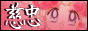 88x31 button: quististrepe t9