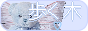 rM1fTex