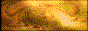 88x31 button: raceump28 icon2
