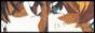 88x31 button: ralu08 fanbadge