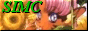 88x31 button: ramothhe chan simc simclink
