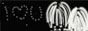 88x31 button: redflame blog ervina